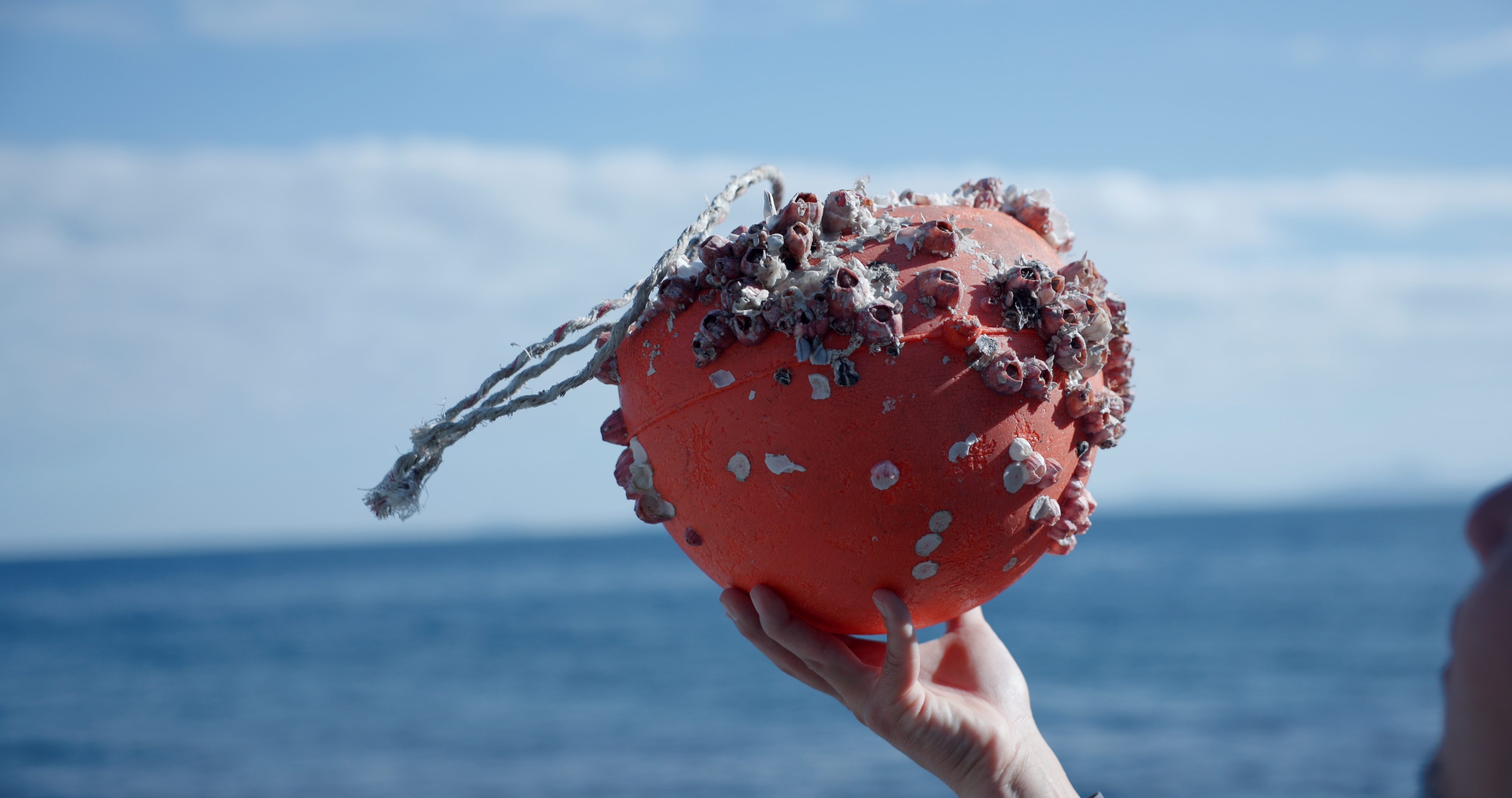 海洋プラスチックを
アップサイクルした建築